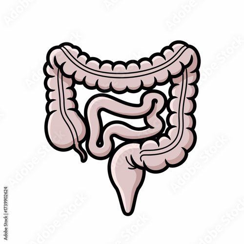 Cartoonish Human Intestine Illustration with Black Outline and Pale Pink Fill.