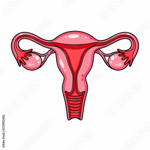 Cartoonish Uterus Illustration with Fallopian Tubes and Ovaries in Pink and Red.