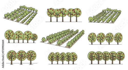 Collection of Handdrawn Apple Trees and Orchard Plantation Illustrations.