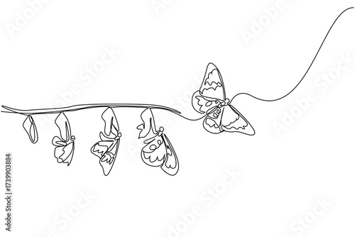 Single continuous line drawing the evolution from cocoon to butterfly attached to tree branch. A beautiful transformation. Butterfly Education and Awareness Day. One line design vector illustration