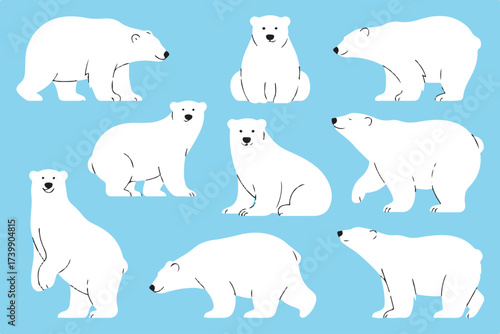 hand drawn polar bear icons pack variety of poses simple flat arctic wildlife vectors