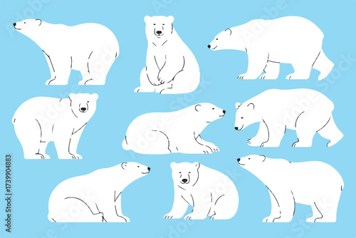 polar bear vector set nine poses cute minimal arctic animal illustrations