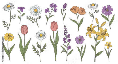 Vector set of colorful handdrawn garden flowers.