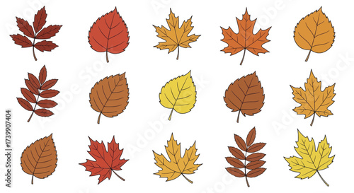 Set of colorful autumn leaves vector illustration 1.