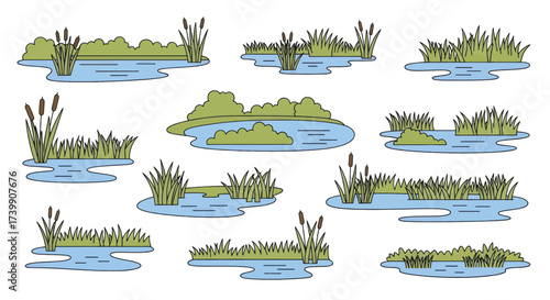 Collection of Ponds and Marshes with Reeds and Grass.