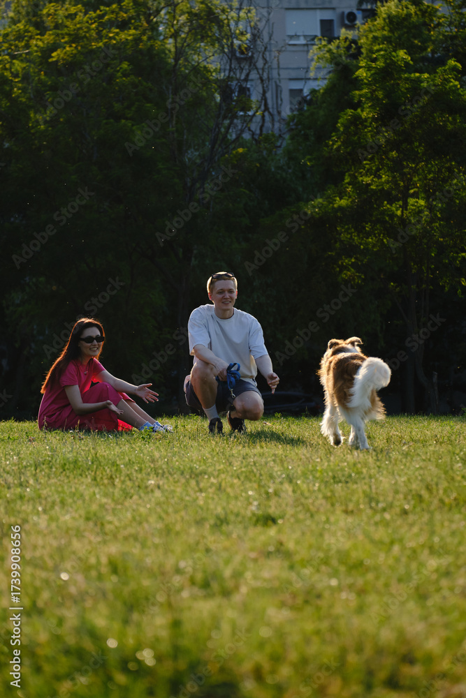 Obraz premium Couple sitting on the grass and calling their dog at sunset. Happy lifestyle with pets and love. Outdoor training dog concept.