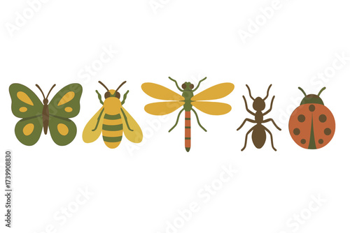 Stylized collection of common garden insects: butterfly, bee, dragonfly, ant, and ladybug