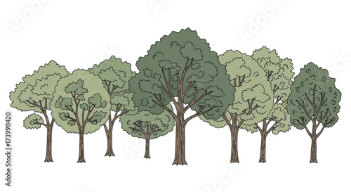 A handdrawn illustration of a row of green deciduous trees isolated on a white background.