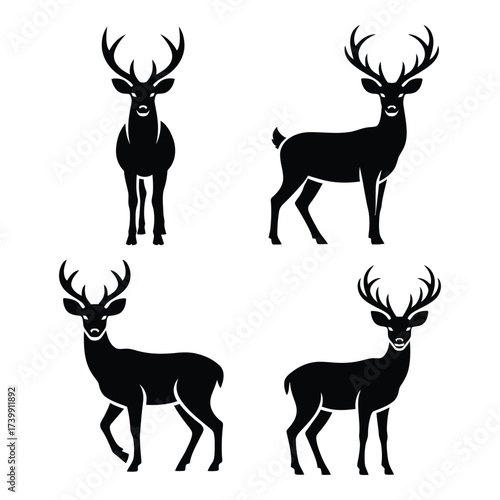 Majestic stag silhouettes four distinct poses iconic wildlife woodland creatures natural elegance forest game antlers majestic mammals powerful graceful animals silhouette