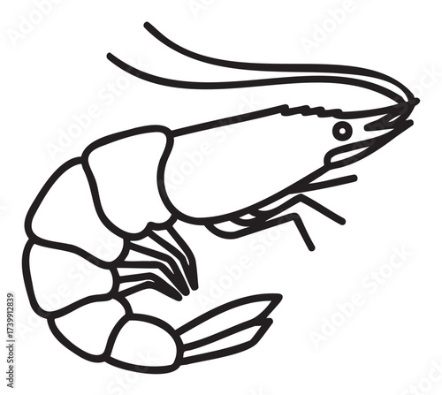 Black outline icon of a shrimp with detailed segments and antennae. simple linear design for seafood, marine, and ocean concepts.
