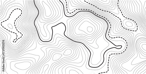 Abstract topo contour map on white background, Topographic map Topographic contour lines map seamless pattern. Geographic map conceptual design. Elegant background for presentations