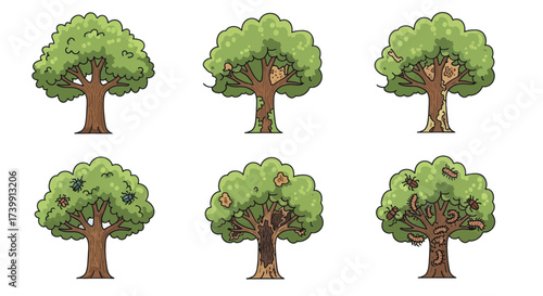 Cartoon tree progression from healthy to infested by insects and disease.