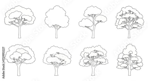 Collection of eight different tree outline drawings.