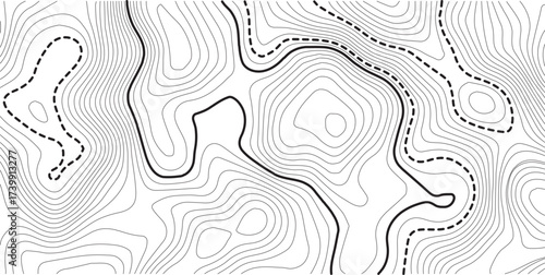 Abstract topo contour map on white background, Topographic map Topographic contour lines map seamless pattern. Geographic map conceptual design. Elegant background for presentations