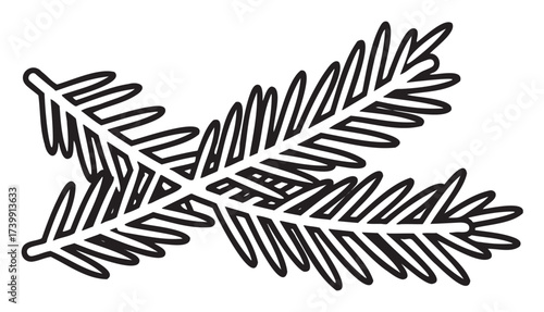 Black outline of two crossed fir tree branches with detailed leaves, showcasing a minimalistic linear design.