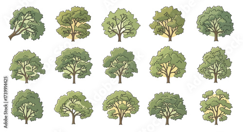 Set of various hand drawn style green trees illustration.