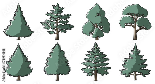 Set of various illustrated trees including pine and deciduous types isolated on a white background.