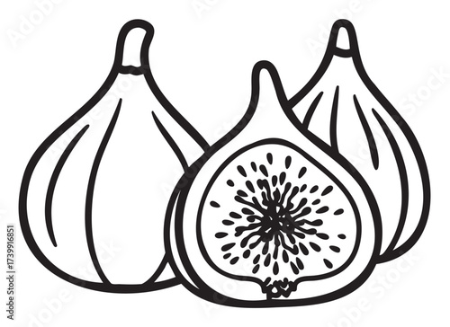 Black outline vector icon of a whole fig and a half fig displaying detailed seeds. minimalist linear illustration for food and fruit concepts.