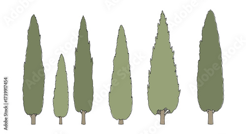 Set of hand drawn Italian cypress trees isolated on white background.