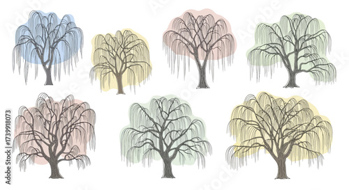 Collection of handdrawn weeping willow trees with pastel color spots.
