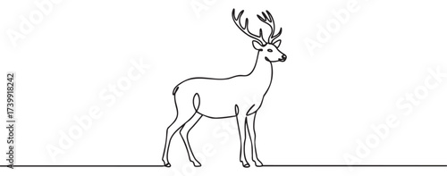 Continuous line drawing of a standing deer with large antlers, showcasing a minimalist and elegant wildlife illustration.