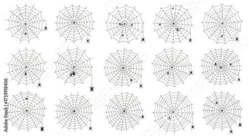 Set of black spiderwebs and spiders isolated on a white background for Halloween design.