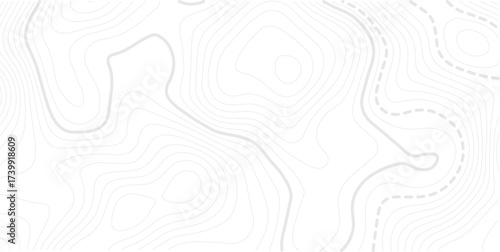 Abstract topo contour map on white background, Topographic map Topographic contour lines map seamless pattern. Geographic map conceptual design. Elegant background for presentations