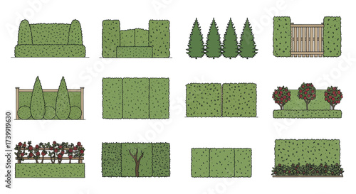 Hand drawn vector set of garden hedges and plants.