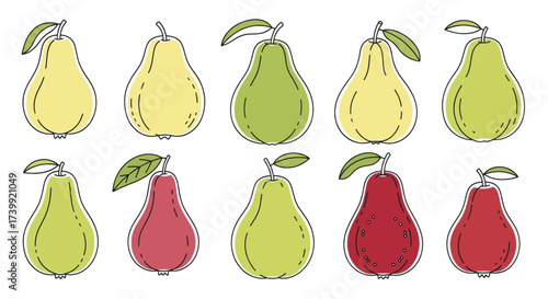 Collection of colorful pear fruits in a simple line art style.