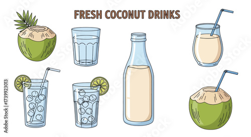 Set of fresh coconut drinks illustrations.