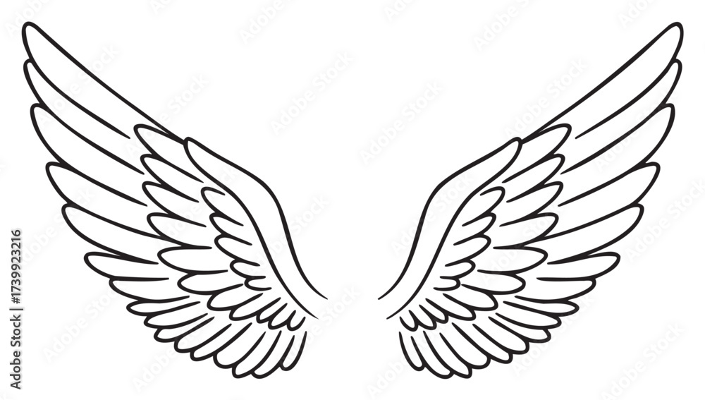 Obraz premium Black outline drawing of a pair of intricately detailed angel wings with extended feathers on a .