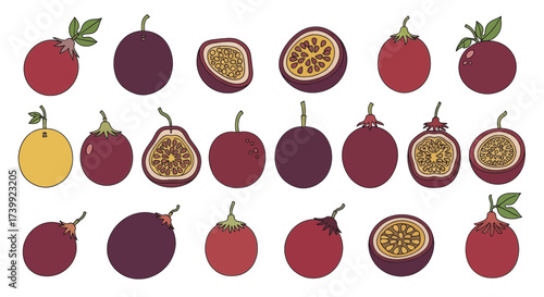 Collection of colorful passion fruit illustrations whole and sliced.