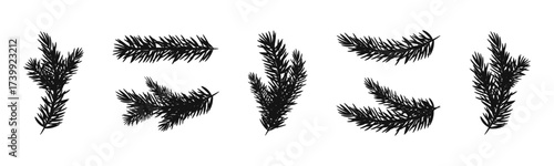 Elegant pine branch set for nature designs and winter celebrations