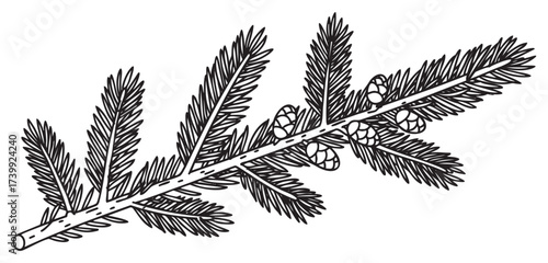 Black outline drawing of a detailed pine branch with needles and cones, showcasing intricate natural textures.