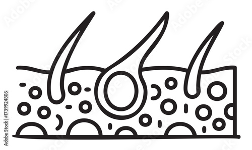 Black outline depiction of hair growing from skin follicles, showing a cross-section of scalp surface with visible pores and hair roots.