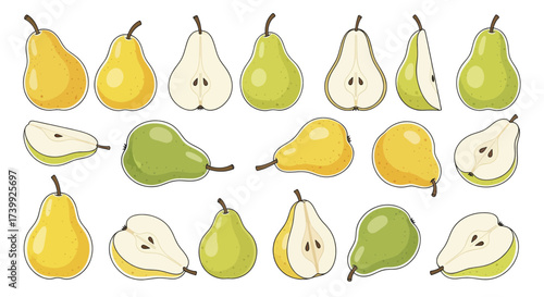 Collection of fresh yellow and green pears illustration set.