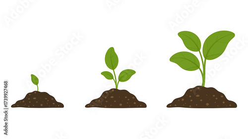 Plant Growth Stages from Seedling to Mature Plant Depicting Success and Nurturing Growth on White Background