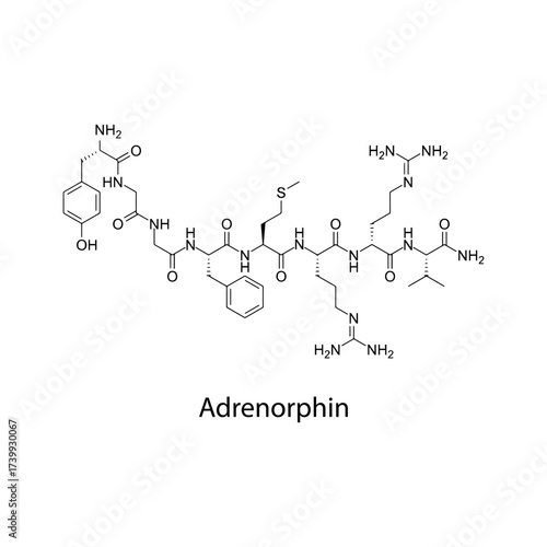 Adrenorphin molecular structure, endogenous opioid-like peptide with analgesic and neuromodulatory activity, clean scientific vector diagram, flat skeletal chemical formula isolated 