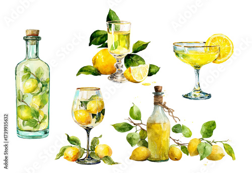 Limoncello with lemons watercolor set. Glasses and bottle of limoncello, yellow lemons and a branch of a lemon tree. Alcoholic lemon drinks. Mediterranean drinks.