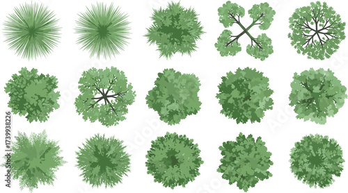 Top view tree canopies, landscape design, architectural plan, foliage diversity, botanical illustration, urban planning, garden layout, greenery clipart, environment element