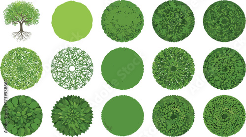 Top view tree canopy illustration set, diverse foliage textures, landscape greenery clipart, natural plant design, eco nature vegetation, outdoor environment vector