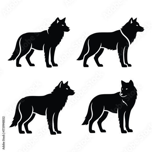 Four distinct silhouette poses of a majestic wolf showing different angles and stances for wildlife graphic design needs silhouette