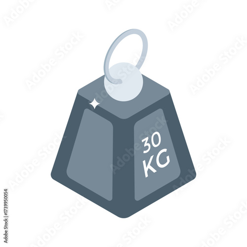Isometric weight icon used to represent cargo measurements.