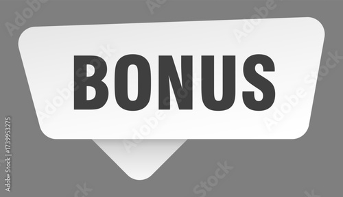 bonus sign. bonus white sticker isolated on gray background