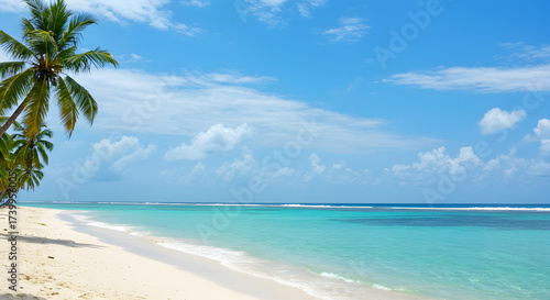 Wallpaper Mural Tropical beach has palm trees white sand and ocean Torontodigital.ca