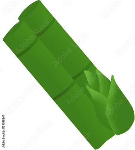 Bamboo shoots