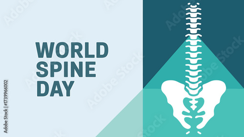 Vector art of world spine day graphic with stylized white spine illustration on a split teal and light blue background