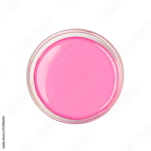 Vibrant Pink Fluid in Clear Petri Dish Minimalist Composition