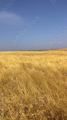 Vast dry fields in Extremadura province, Spain, with cracked soil and parched vegetation under the blazing summer sun, symbolizing drought and climate change.