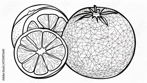 Stylized orange fruit with geometric pattern and cross section slices.
